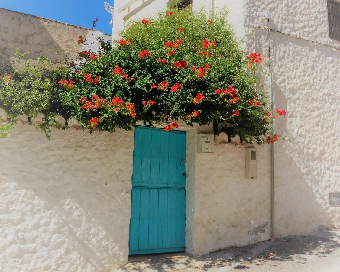 Casa Del Patio Bed and Breakfast Pinos del Valle Bed & Breakfast